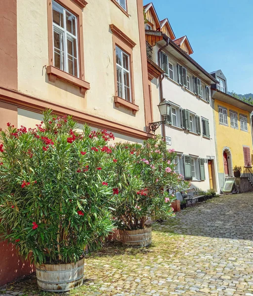 Colorida Calle Medieval Bregenz — Foto de Stock