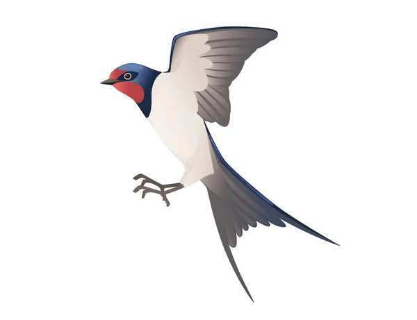 Милая ласточка летит на белом фоне мультяшной птицы животного дизайна — стоковый вектор