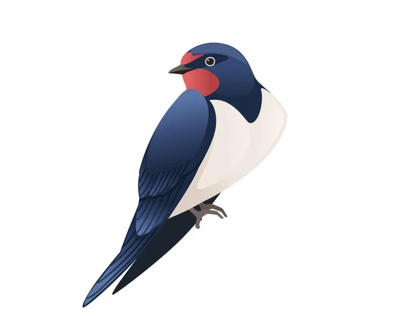 Симпатичная ласточка сидит на белом фоне мультяшной птицы животного дизайна — стоковый вектор