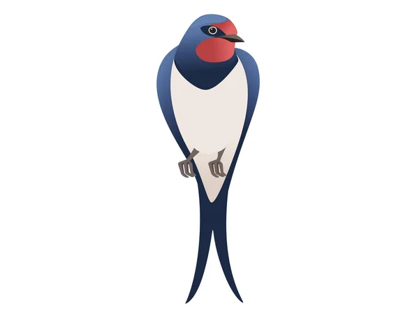 可爱的燕子坐在白色背景卡通鸟的动物设计上 — 图库矢量图片