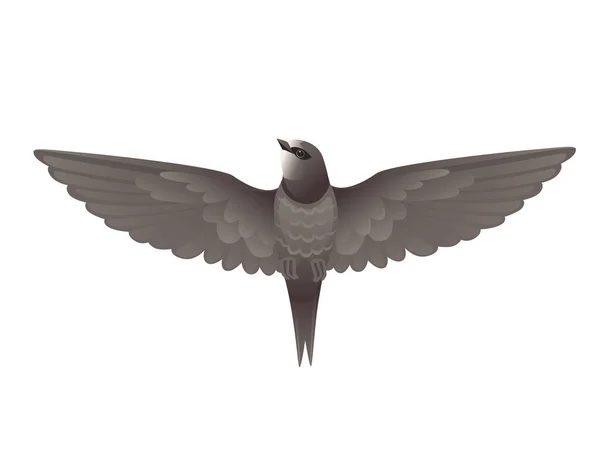 Mignon noir rapide volant sur fond blanc dessin animé oiseau animal design — Image vectorielle