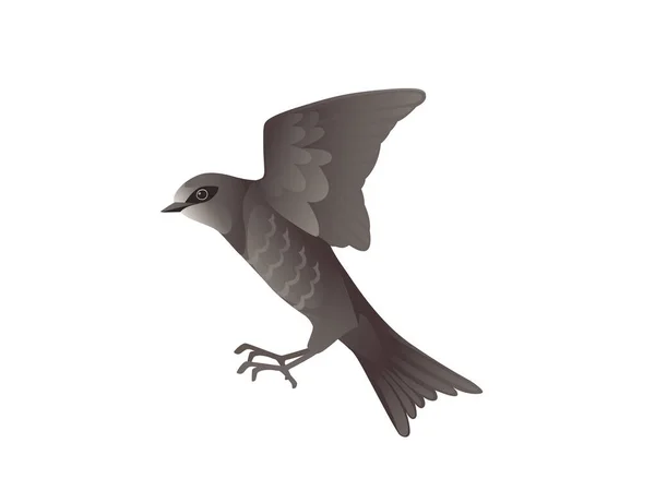 Bonito preto swift voando no branco fundo cartoon pássaro animal design — Vetor de Stock