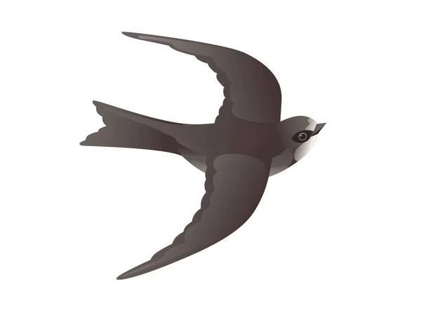 흰 배경 만화 영화에 나오는 새의 날개 위를 날으는 귀여운 검은 칼새 — 스톡 벡터