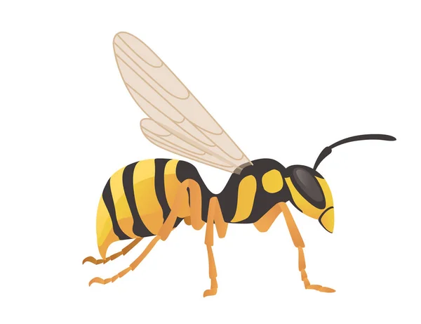 危険なワスプ昆虫漫画動物デザインベクトルイラスト上の白い背景 — ストックベクタ