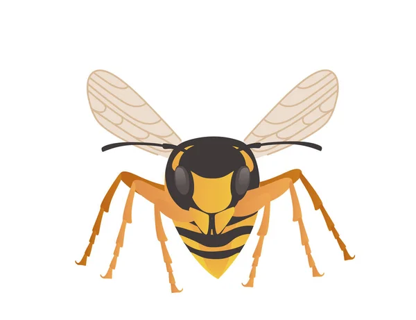 白色背景下的危险黄蜂昆虫卡通动物设计矢量图解 — 图库矢量图片