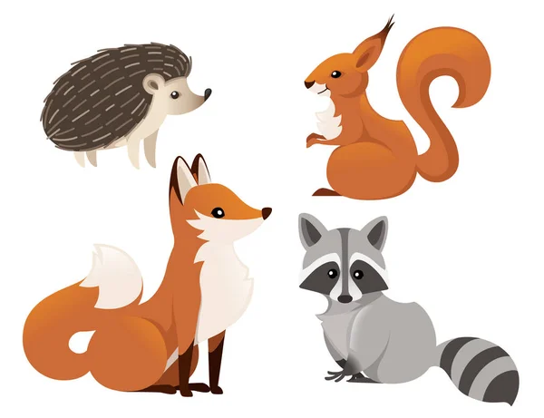 Set de lindos animales del bosque zorro ardilla mapache erizo aislado sobre fondo blanco — Vector de stock