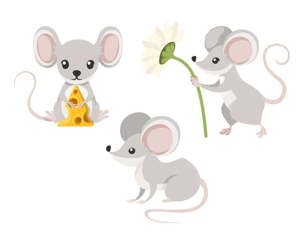 Lindo ratoncito gris sentarse en el suelo y sostener el queso. Dibujos animados diseño de personajes animales. Ilustración vectorial plana aislada sobre fondo blanco . — Archivo Imágenes Vectoriales