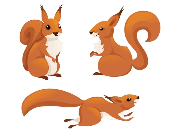 Cute little squirrel jumping down. Side view. Cartoon animal character design. Flat vector illustration isolated on white background. — Stock Vector