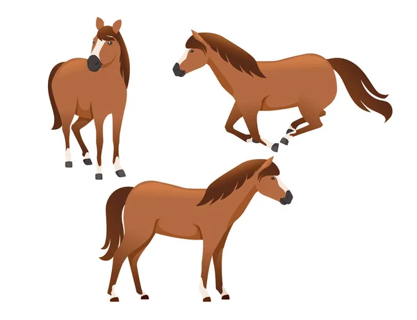 Sada koně divoké nebo domácí zvíře běží kreslený design plochý vektor ilustrace izolované na bílém pozadí — Stockový vektor