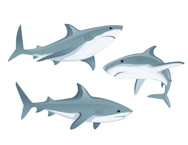 Conjunto de tubarão com boca fechada gigante ápice predador desenho animal desenho animal plana vetor ilustração isolado no fundo branco — Vetor de Stock