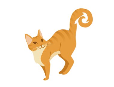 Zencefilli kedi çizgi filmi, beyaz arka planda izole edilmiş hayvan tasarım vektör çizimi üzerinde duruyor.