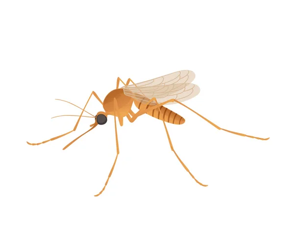 Brown Moskito blutsaugende Insekt Cartoon Design Vektor Illustration isoliert auf weißem Hintergrund — Stockvektor