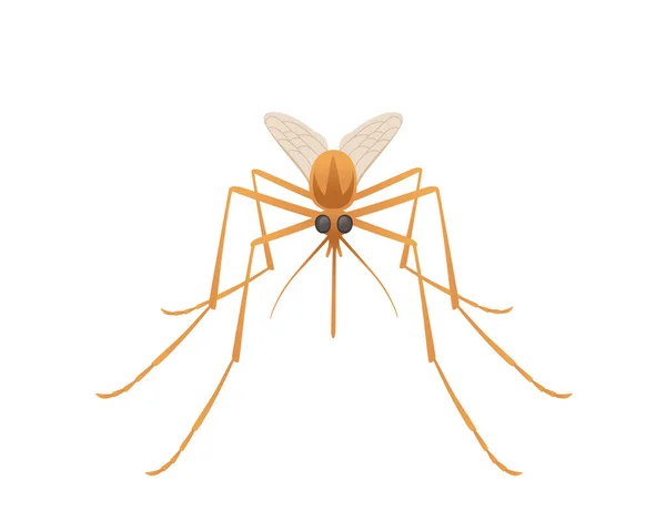 Mosquito marrón chupasangre insecto dibujo animado diseño vector ilustración aislado sobre fondo blanco — Archivo Imágenes Vectoriales