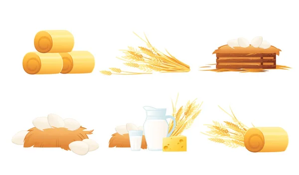Ensemble d'objets de pays pour l'illustration vectorielle de ferme ou rancho sur fond blanc — Image vectorielle
