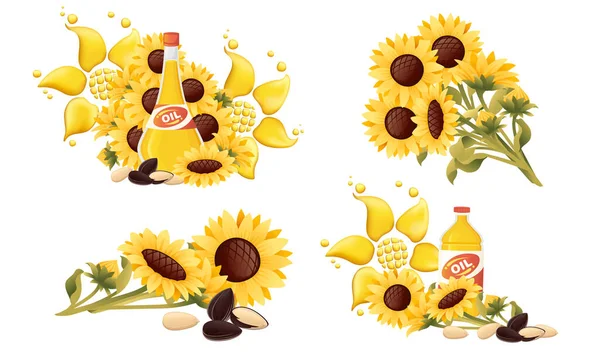 Sunflowers with seeds and oil for cooking healthy food vector illustration on white background — Stock Vector