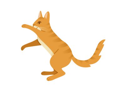 Kızıl Kedi çizgi filmi beyaz arkaplanda izole edilmiş hayvan çizgi film tasarımı vektör çizimi hazırlıyor.