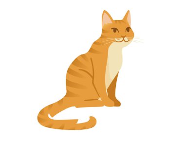 Zencefilli kedi karikatürü beyaz arka planda izole edilmiş hayvan tasarım vektör çizimi üzerinde oturuyor.