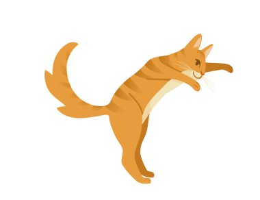 Kızıl Kedi çizgi filmi beyaz arkaplanda izole edilmiş hayvan çizgi film tasarımı vektör çizimi hazırlıyor.