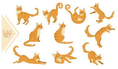 Beyaz arka planda izole edilmiş, çizgi film hayvan tasarım vektörü çizimi üzerinde duran Ginger Cat çizgi filminin koleksiyonu