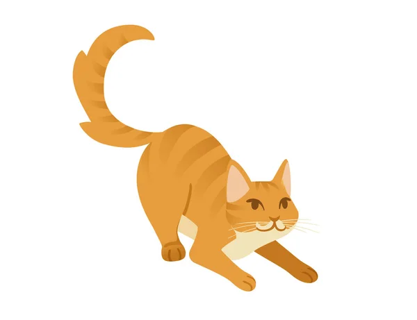 Dibujos Animados Jengibre Gato Acostado Suelo Dibujo Animado Animal Diseño — Vector de stock