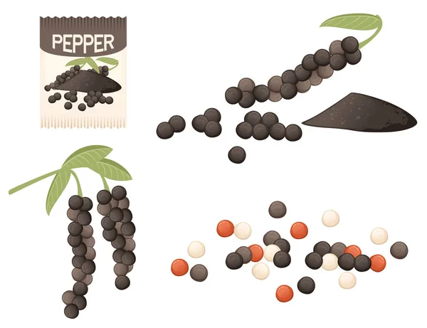 Set Black Pepper Seasoning Whole Milled Powder Pepper Paper Package — Stock Vector