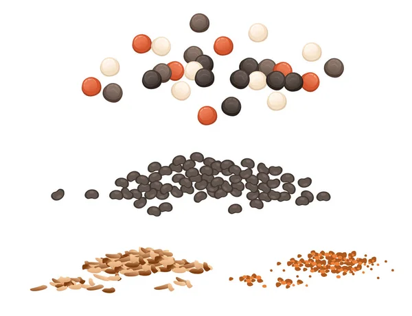 Set Seasoning Black Pepper Nutmeg Poppy Seeds Powder Package Vector — Stock Vector