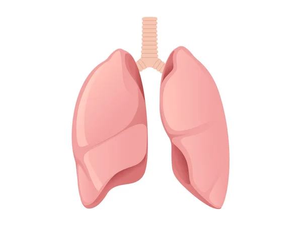 Desenho Desenhos Animados Human Lungs Anatomia Humana Vetor Órgão Ilustração —  Vetores de Stock