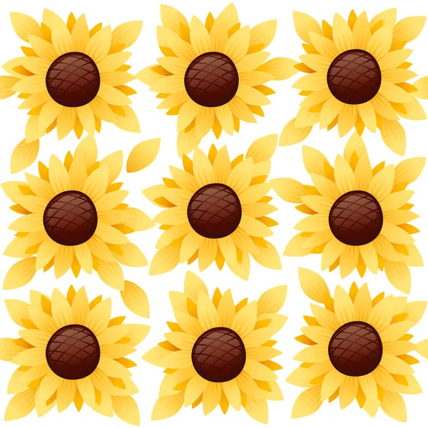 Nahtlose Muster Sonnenblumen Und Samen Vektor Illustration Auf Weißem Hintergrund — Stockvektor
