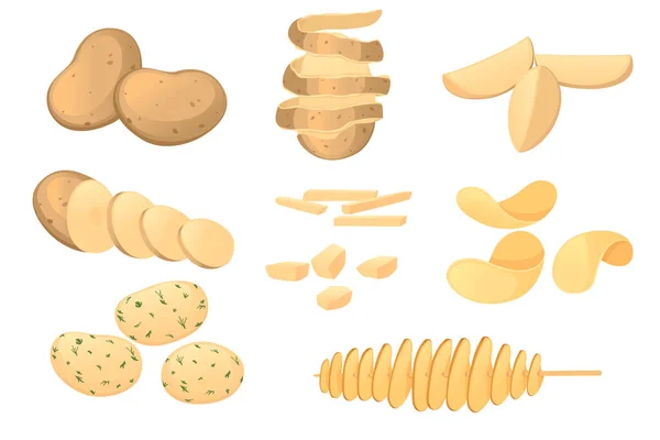 Set Different States Potato Whole Rings Chips Vector Illustration Isolated — 스톡 벡터