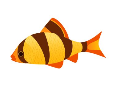 Egzotik tropikal akvaryum balık vektör çizimi beyaz arka plan hayvan tasarımı izole.