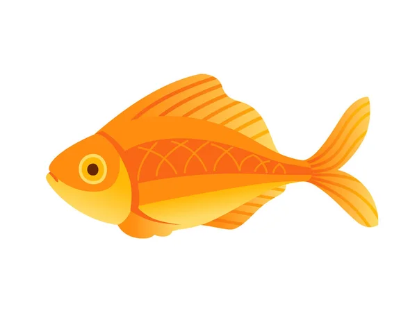 Exotic Tropical Aquarium Fish Gold Fish Vector Illustration Isolated White — ストックベクタ