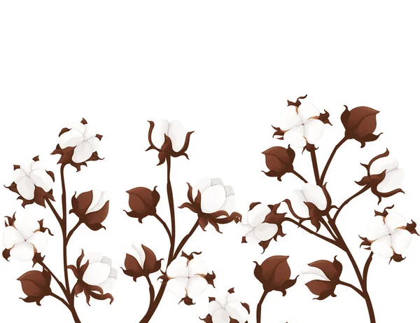 Set Cotton Flower Branch Vector Illustration Isolated White Background — 图库矢量图片