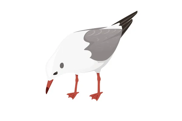 Cartoon Style Seagull Bird Vector Animal Design Illustration White Background — 스톡 벡터