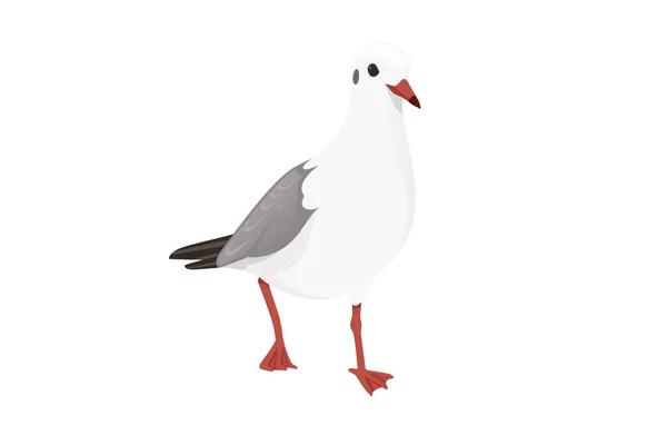 Cartoon Style Seagull Bird Vector Animal Design Illustration White Background — 스톡 벡터