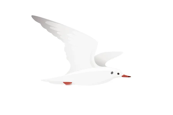 Cartoon Style Seagull Bird Vector Animal Design Illustration White Background — Vetor de Stock
