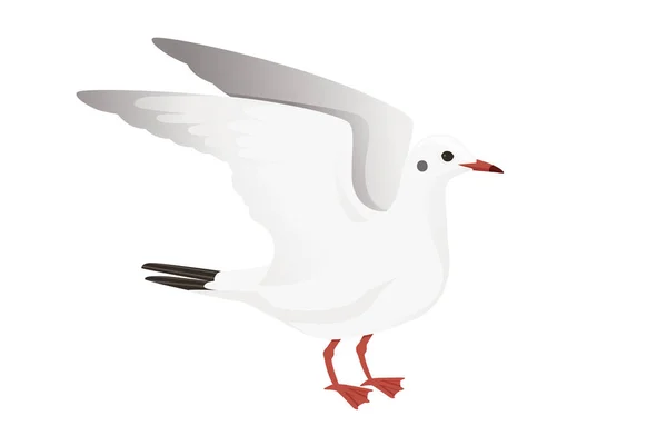 Cartoon Style Seagull Bird Vector Animal Design Illustration White Background — стоковый вектор