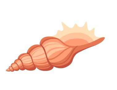 Beyaz arkaplanda izole edilmiş renkli tropikal kabuk karikatür tasarım vektör çizimi çizimi.