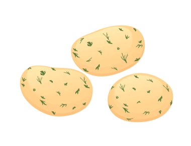 Three cooked potato with bill boiled peeled potatoes vector illustration isolated on white background.