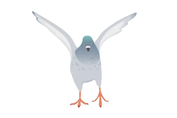 Gray Pigeon Green Head Flying City Dove Bird Vector Illustration — Vector de stock
