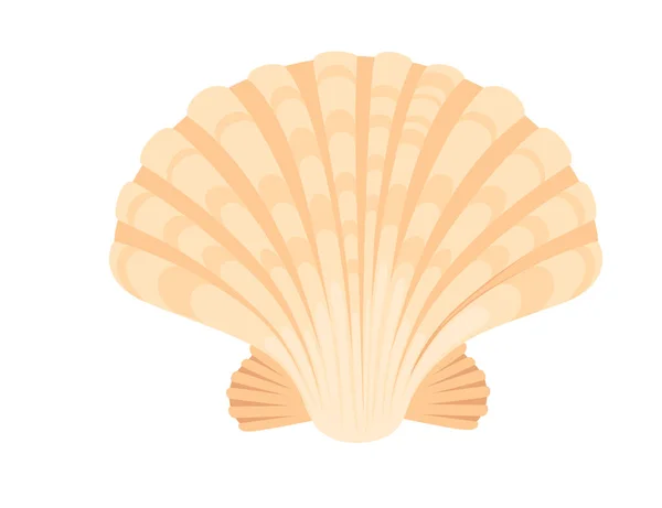 Colorful Tropical Underwater Shell Cartoon Design Vector Illustration Isolated White — Vettoriale Stock
