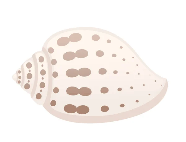 Colorful Tropical Underwater Shell Cartoon Design Vector Illustration Isolated White — Image vectorielle