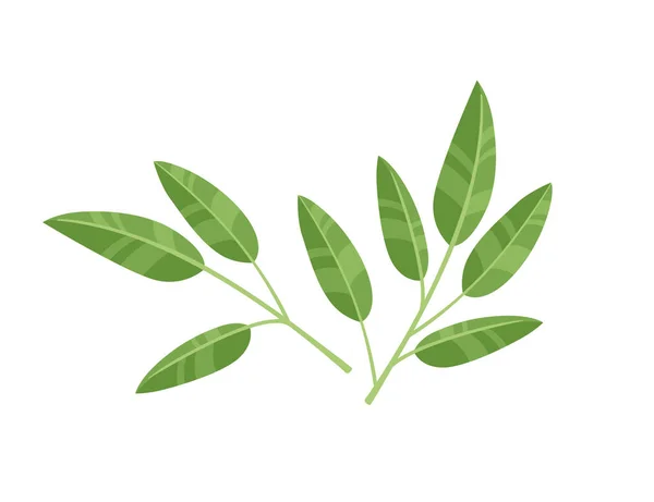 Eşleşen Prodüksiyon Vektör Illüstrasyonu Için Yeşil Çay Yaprakları Beyaz Arkaplanda — Stok Vektör