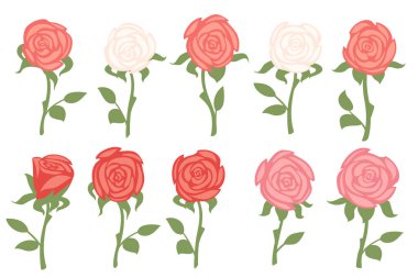 Set of rose flowers with green stem and leaves vector illustration isolated on white background.