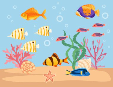 Big aquarium with different tropical fishes sand corals and shells vector illustration on white background.