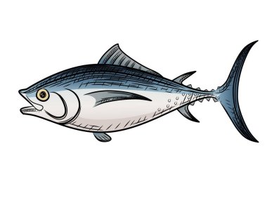 Deniz tuna balığı karikatür tasarım vektör çizimi beyaz arka planda izole.