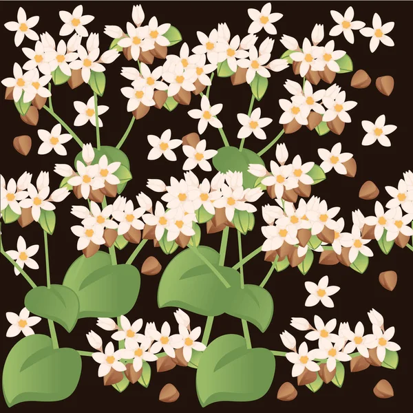 Patrón Sin Costura Planta Agricultura Trigo Sarraceno Con Flores Flor — Archivo Imágenes Vectoriales