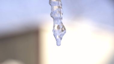 Bir kış günü, güneşin altındaki buzulları yavaşça eritiyor.