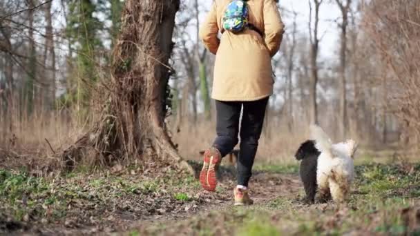 Seorang Wanita Berjalan Sepanjang Jalan Beraspal Melalui Hutan Luar Dengan — Stok Video