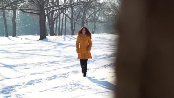 Piękna Młoda Dziewczyna Bujnymi Włosami Spaceruje Pokrytej Śniegiem Łące Parku — Wideo stockowe