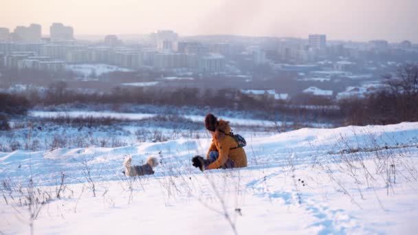 Woman Meadow City Sets Her Pets Beautiful Clear Winter Day — Stock Video